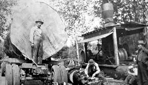 Seeking nominations for Pioneer Logger Award 2017