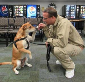 CBCC hosts WAG for second annual reunion