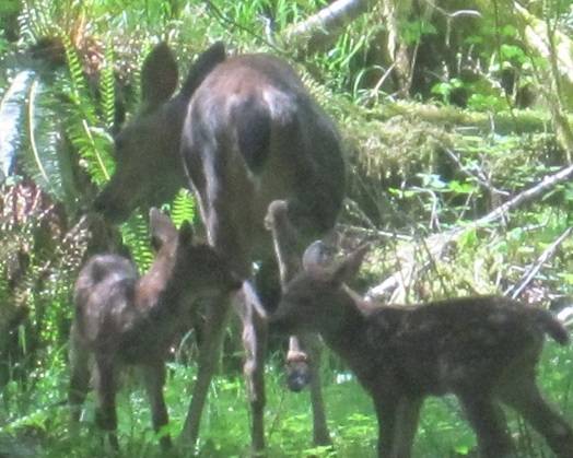 Why do you live so far away?