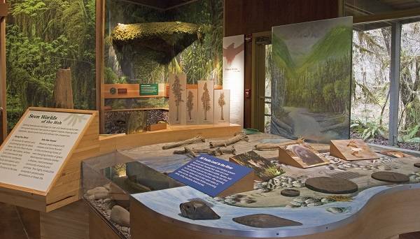 New Hoh exhibits, Rainfest approaching, book sale and Jefferson County Comprehensive Plan