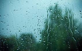 It’s Rainfest Weekend