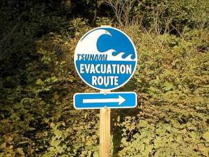 Tsunami Alert