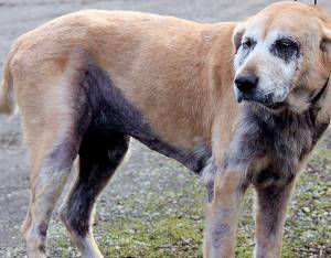 Before … Maggie was in a miserable state …