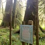 OUR BIG BACKYARD: Elk Creek Conservation Area Trail