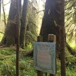 Log bridge. Photos Judy Smith