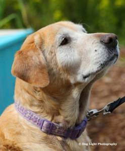 Recommendations for Maggie