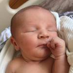 Traycen Mitchel Gaydeski