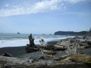 Rialto Beach reopens after search