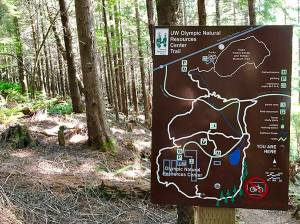 Our Big Backyard: Really the Backyard!