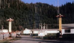 How a state rehabilitates its forest and men 50 years ago