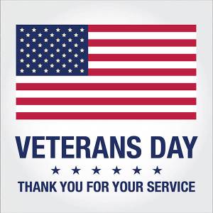 Veterans Day Activities