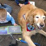 Community Happenings
