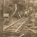 This handmade railroad was used by the Newbert family to transport lumber from the beach to the homestead. An old mine car was used to run between the homestead and the schoolhouse.