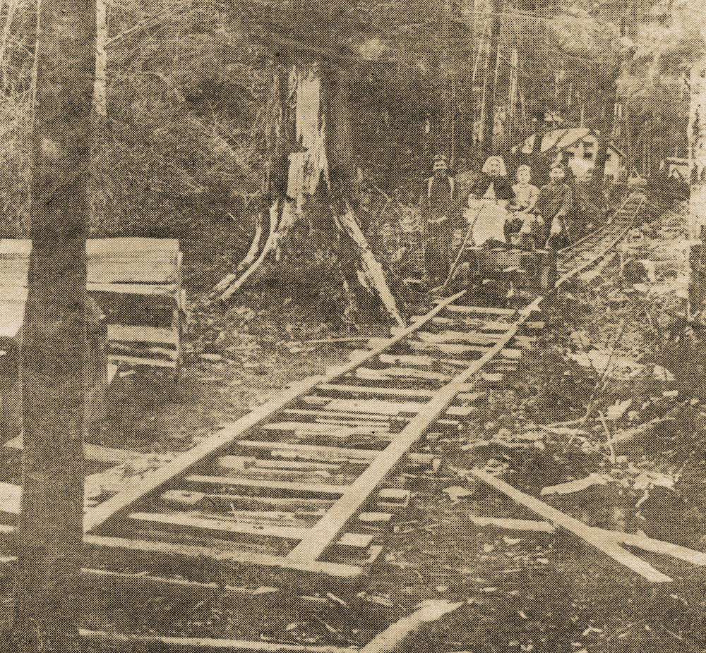 This handmade railroad was used by the Newbert family to transport lumber from the beach to the homestead. An old mine car was used to run between the homestead and the schoolhouse.