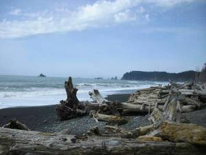 Terry Lynn Ford Vessey