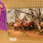 Larry Baysinger won Best in Show for his photo of pack mules at the Enchanted Chalet. Photos Christi Baron