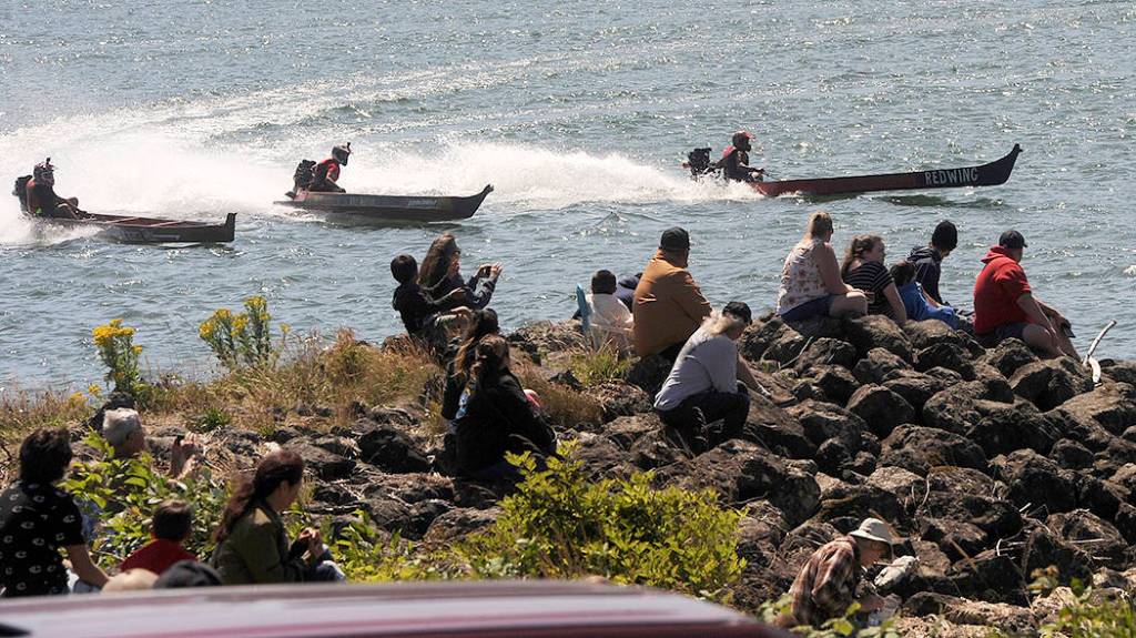 Visitors look on as rooster tails fly from outboard canoes during the annual races on the Quillayute River during Quileute Days in La Push Saturday.