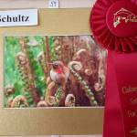 Fun Days Photo Show Winners