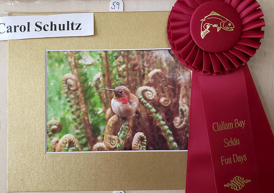 Fun Days Photo Show Winners