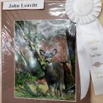 Fun Days Photo Show Winners