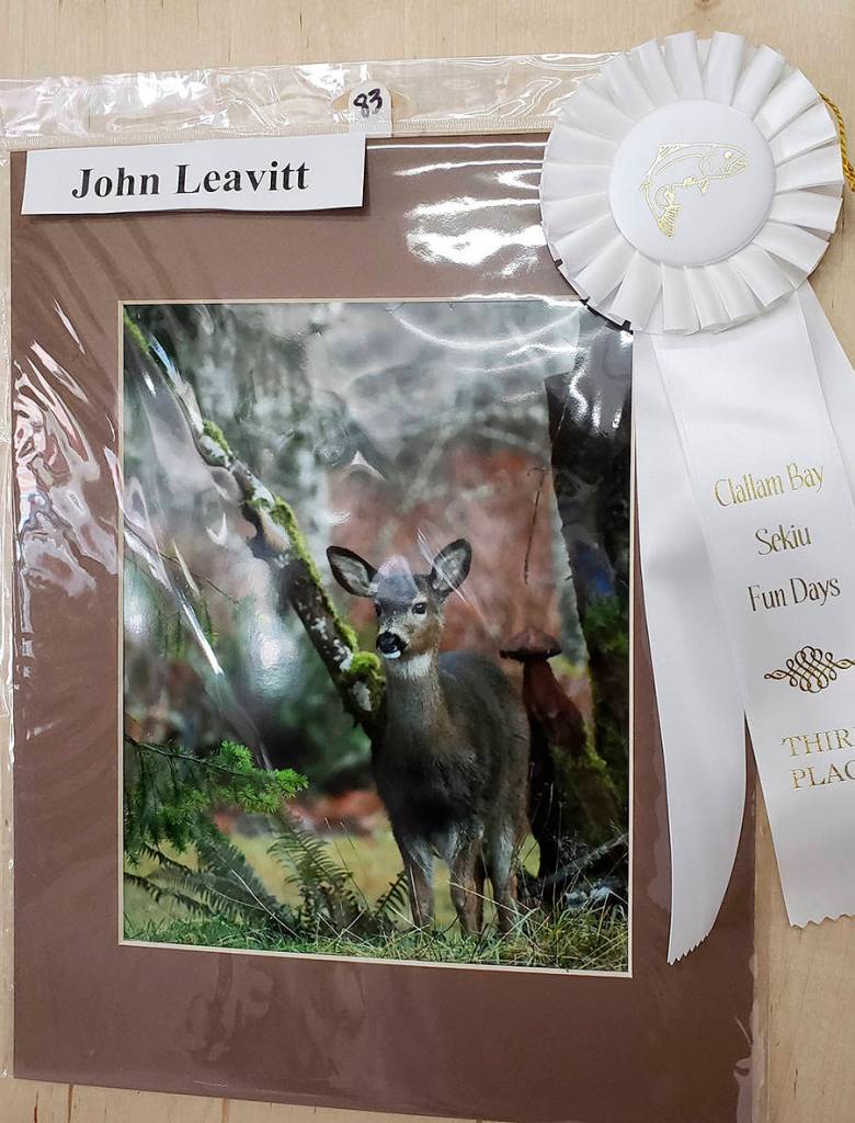 Fun Days Photo Show Winners