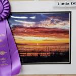 Fun Days Photo Show Winners