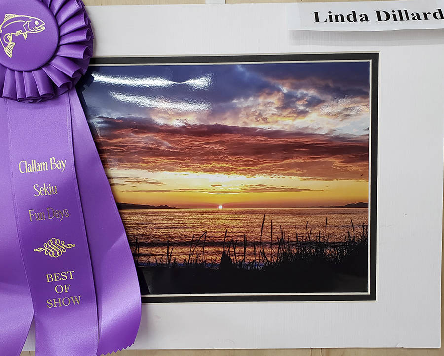 Fun Days Photo Show Winners