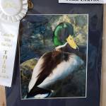 Fun Days Photo Show Winners