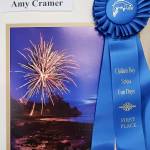 Fun Days Photo Show Winners