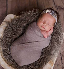 Halsey Jane Phillips