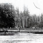 The Eighth Wonder                                Twenty-two people on the bridge at one time, including Mr. Garland on horseback, and a cow and calf. Mr. Gorder is standing on the ground near the big end of the log. I do not remember when the bridge went out, but it did remain until the next seasons floods arrived. It finally went out, since the load of drift that must have piled up against it in the new floods was too great for the log to withstand, George Hopkins.