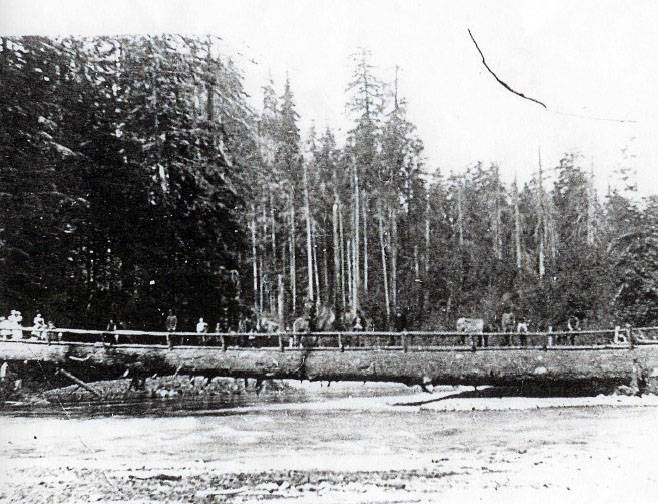 The Eighth Wonder                                Twenty-two people on the bridge at one time, including Mr. Garland on horseback, and a cow and calf. Mr. Gorder is standing on the ground near the big end of the log. I do not remember when the bridge went out, but it did remain until the next seasons floods arrived. It finally went out, since the load of drift that must have piled up against it in the new floods was too great for the log to withstand, George Hopkins.