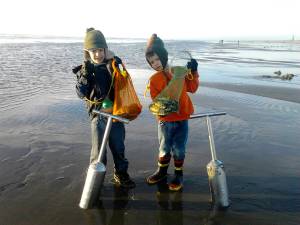 WDFW announces tentative razor clam digs through April