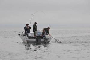 WDFW welcomes public participation in 2020 salmon season-setting process