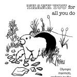 Olympic National Park offers online activities