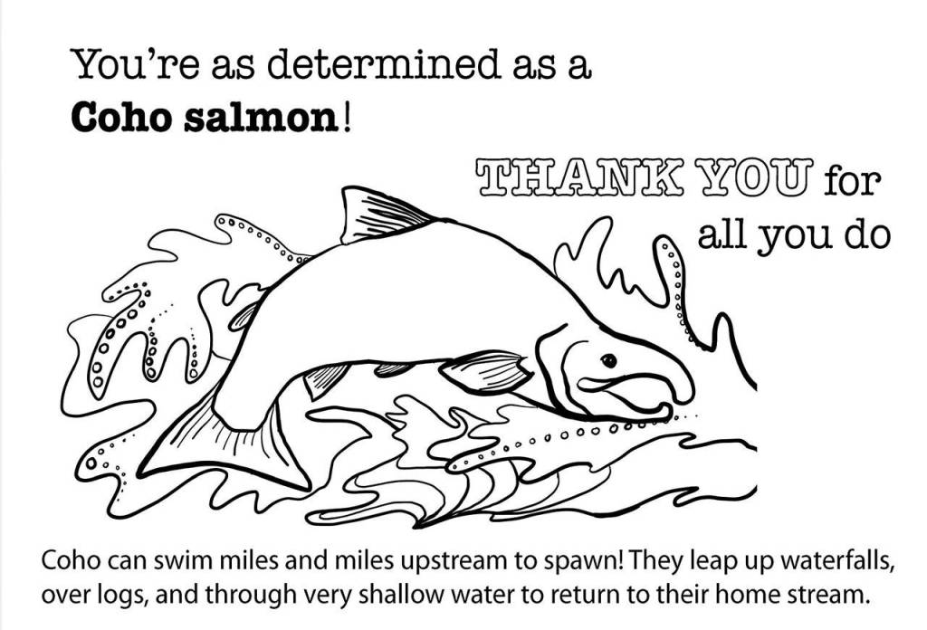 Olympic National Park offers online activities