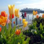 (Keith Thorpe/Peninsula Daily News)