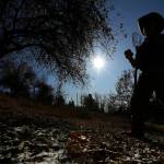 In this Oct. 29, 2019 photo, amateur botanist EJ Brandt of the Lost Apple Project examines apples he picked from a tree in an orchard near Troy, Idaho. Brandt and fellow amateur botanist David Benscoter recently learned that their work in the fall of 2019 has led to the rediscovery of 10 apple varieties in the Pacific Northwest that were planted by long-ago pioneers and had been thought extinct. (AP Photo/Ted S. Warren)