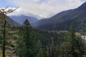 Olympic National Park to begin phased-in reopening next week