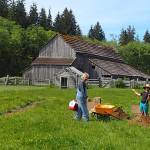 The Heritage Garden south of John Cowan’s historic farmhouse is planted and growing
