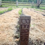 Volunteers prepare Hugelmound for growing vegetables as one of the Demonstration Plots at Cowan Heritage Farm.