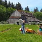 Volunteers having a good time. Photos Nancy Messmer