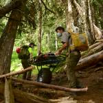 Park Rangers transport a litter to carryout an injured hiker for a Search and Rescue incident on Switchback Trail at Hurricane Ridge. NPS Photo