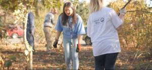 United Way announces Virtual Day of Caring Ideas and To-Go Bags