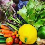 Land Trust to recognize Community Supported Agriculture as the 2020 Farmer of the Year at digital event on Wednesday, Sept. 30