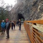 Ribbon Cutting attendees check out the bridge, Bruch and Bruch employees took photos.
