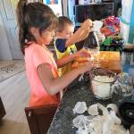 My grandkids and grandparents decided to do a garden we planted tomatoes, pumpkins, potatoes, purple potatoes, purple carrots, and regular carrots. I never knew they made purple vegetables until this year. They tasted great. We decide to do salsa since Jaydens tomatoes took off. Jayden decide cutting onions is not a good thing, lol