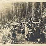 Spruce division on Lake Crescent