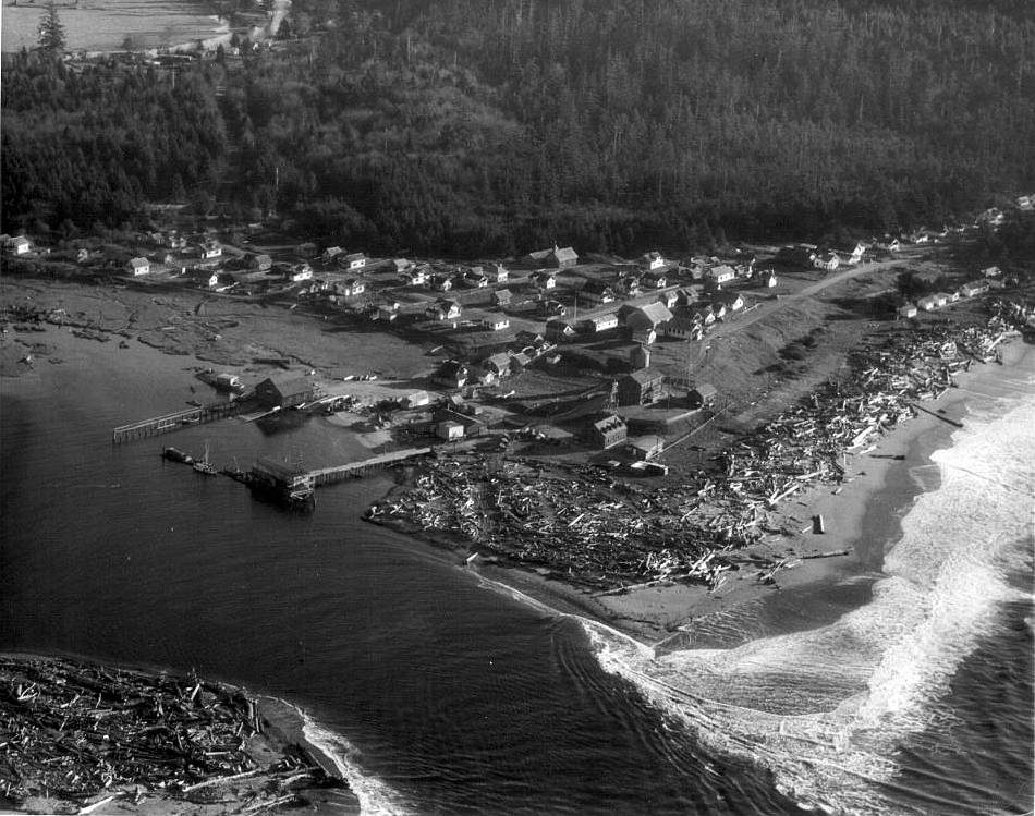 Aerial of La Push.