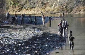 Photo Lonnie Archibald